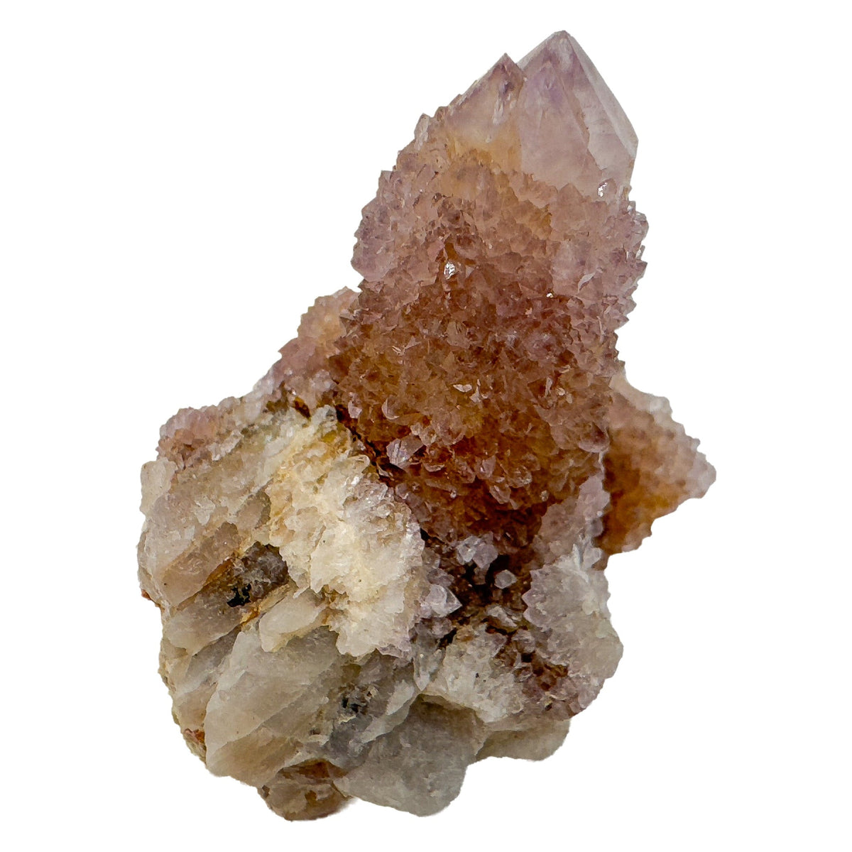 Single Cactus Spirit Quartz point standing upright, its lavender tip rising from a rust-toned iron-stained base still carrying host rock.