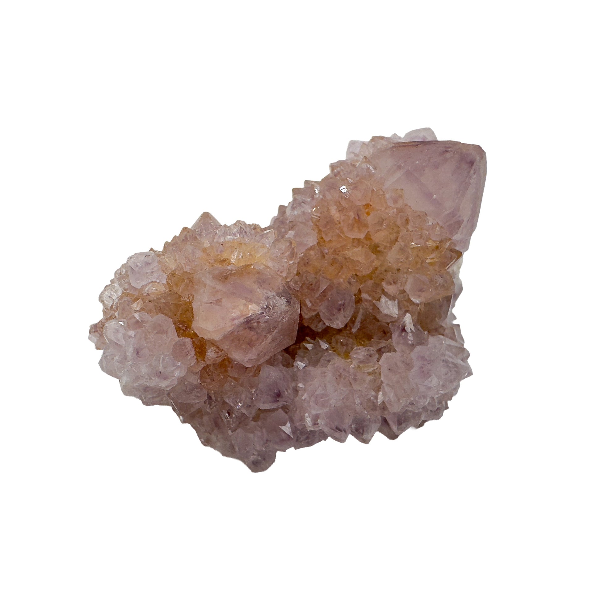 Close view of a Spirit Quartz cluster where warm citrine tones meet pale lavender across several joined terminations.