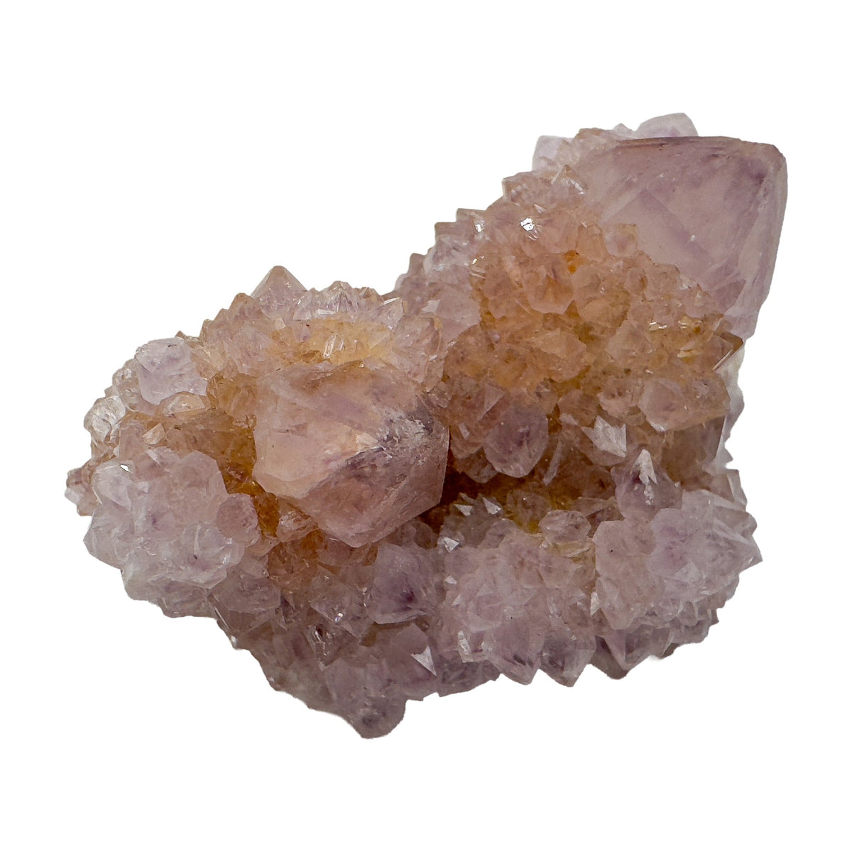 Close view of a Spirit Quartz cluster where warm citrine tones meet pale lavender across several joined terminations.