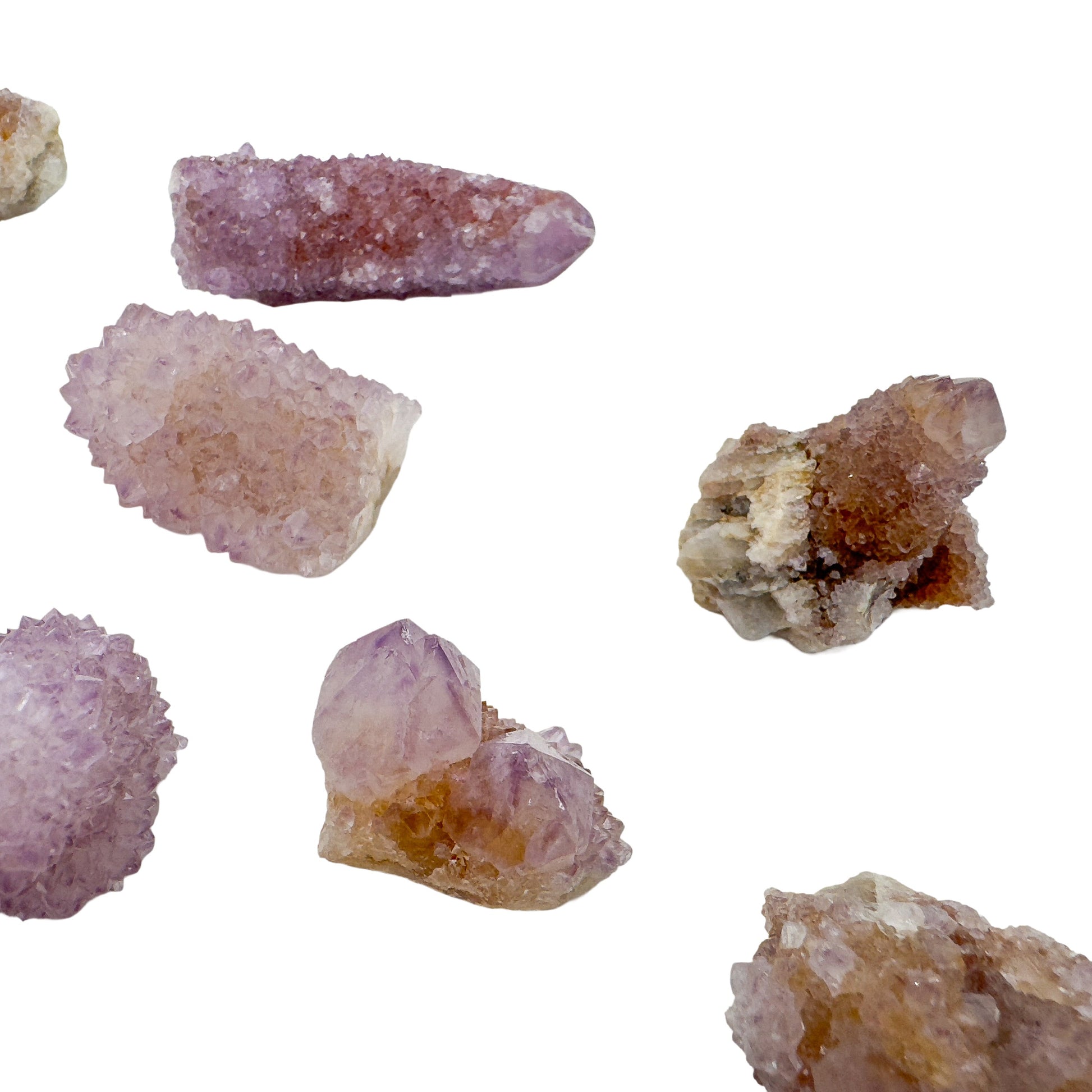 Assortment of six Cactus Spirit Quartz pieces arranged loosely on white, showing the natural variation in shape and iron staining within one lot.