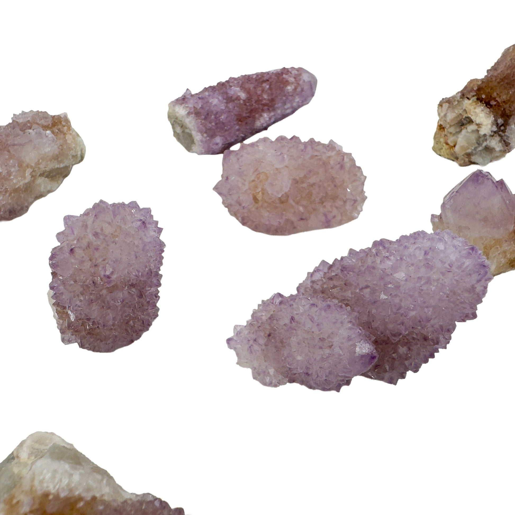 Flat lay of seven Cactus Spirit Quartz crystals spaced evenly on white, each showing the spiky secondary growth the stone is named for.