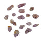 Sixteen small Cactus Spirit Quartz crystals spread across white, giving a sense of what a bulk lot of this size grade looks like.