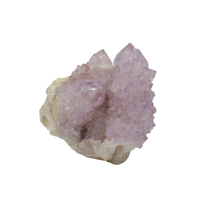 AA grade Cactus Spirit Quartz cluster from Mpumalanga, South Africa, with two lavender terminations rising from a druzy-coated quartz base.