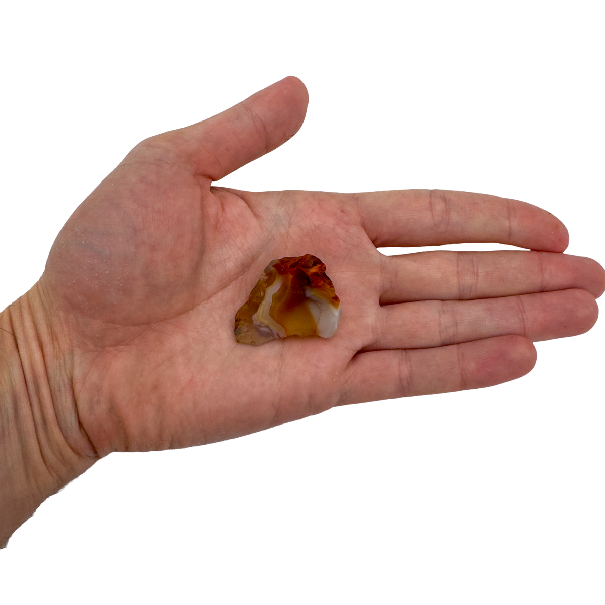 AA Grade Carnelian raw stone held in hand for scale, from Madagascar