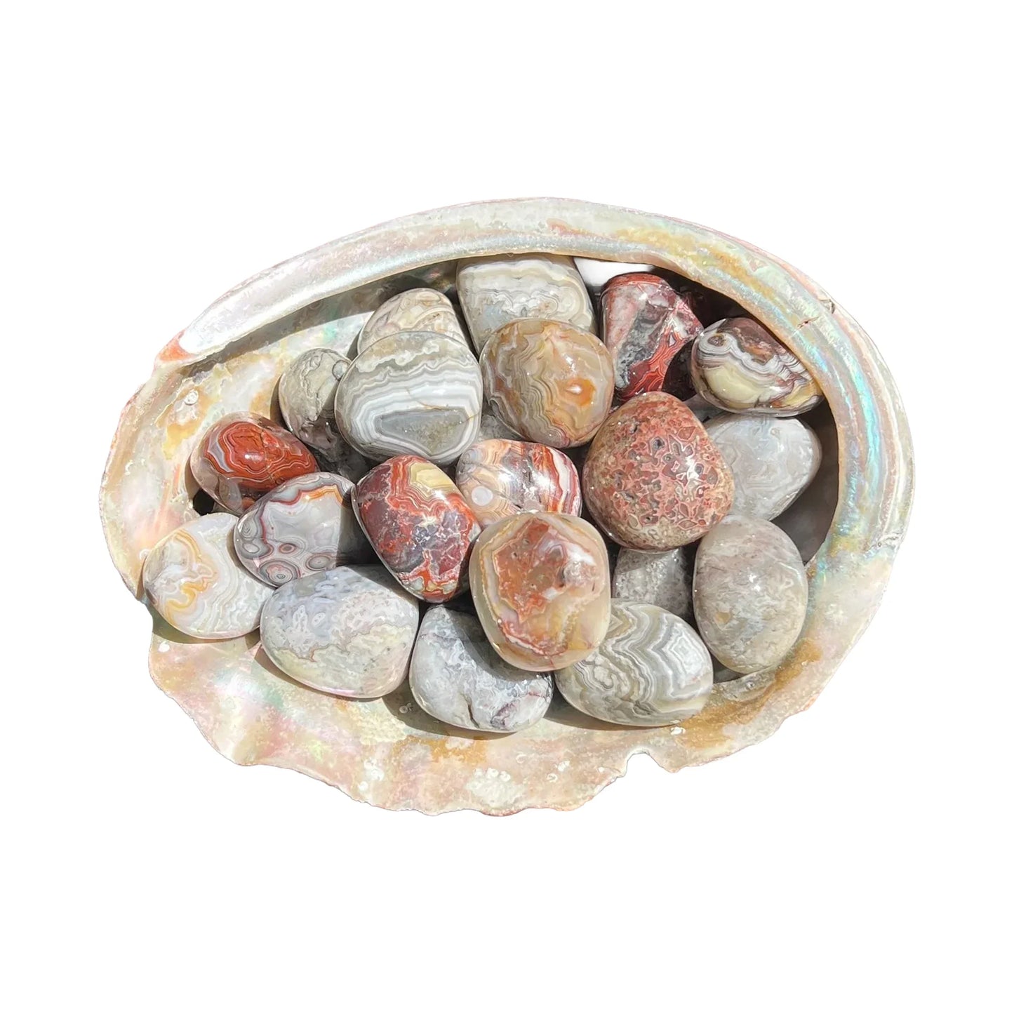 Crazy Lace Agate Palm Stones for Energy, Manifestation & Stress Relief — multicolored smooth polished, hand-selected AA from Mexico