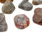 Crazy lace agate tumbled stones at 1 to 2 inches from Chihuahua, Mexico