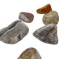 Crazy lace agate tumbled stones, A Grade, sourced from Chihuahua, Mexico