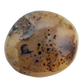 Detail view of A Grade Dendritic Agate palm stone from Madagascar