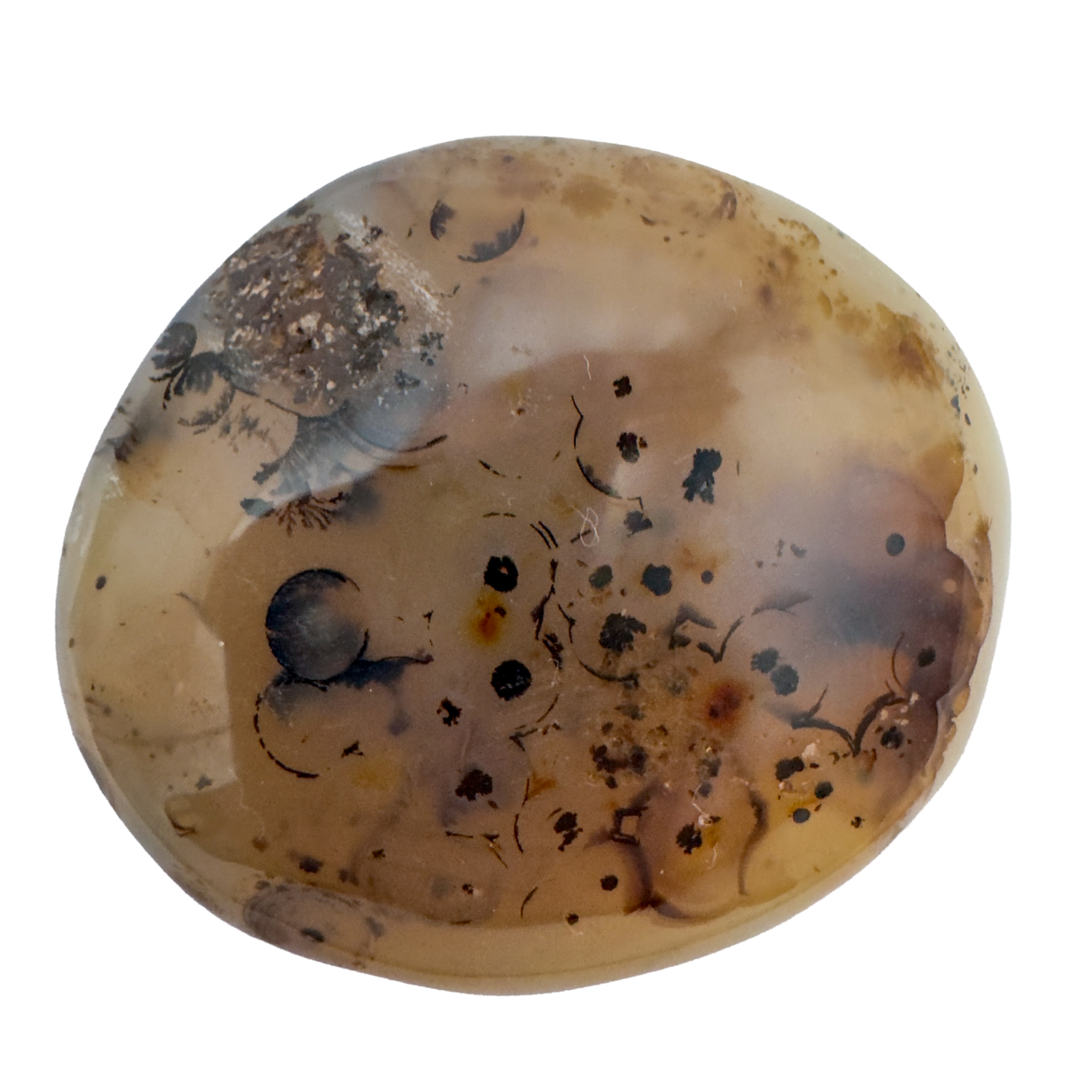 Detail view of A Grade Dendritic Agate palm stone from Madagascar