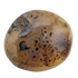 Detail view of A Grade Dendritic Agate palm stone from Madagascar