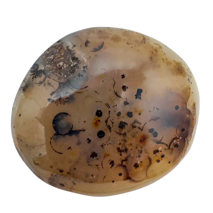 Dendritic Agate Palm Stones | A Grade | Madagascar | 1.50–3 Inch