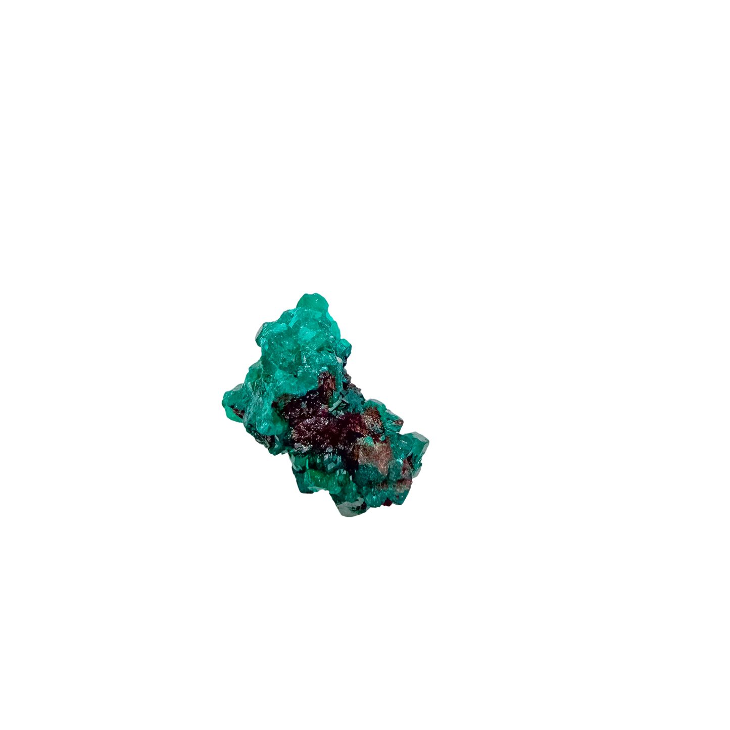 Fine dioptase druzy on the fine green crust, 0.79 inches of coverage