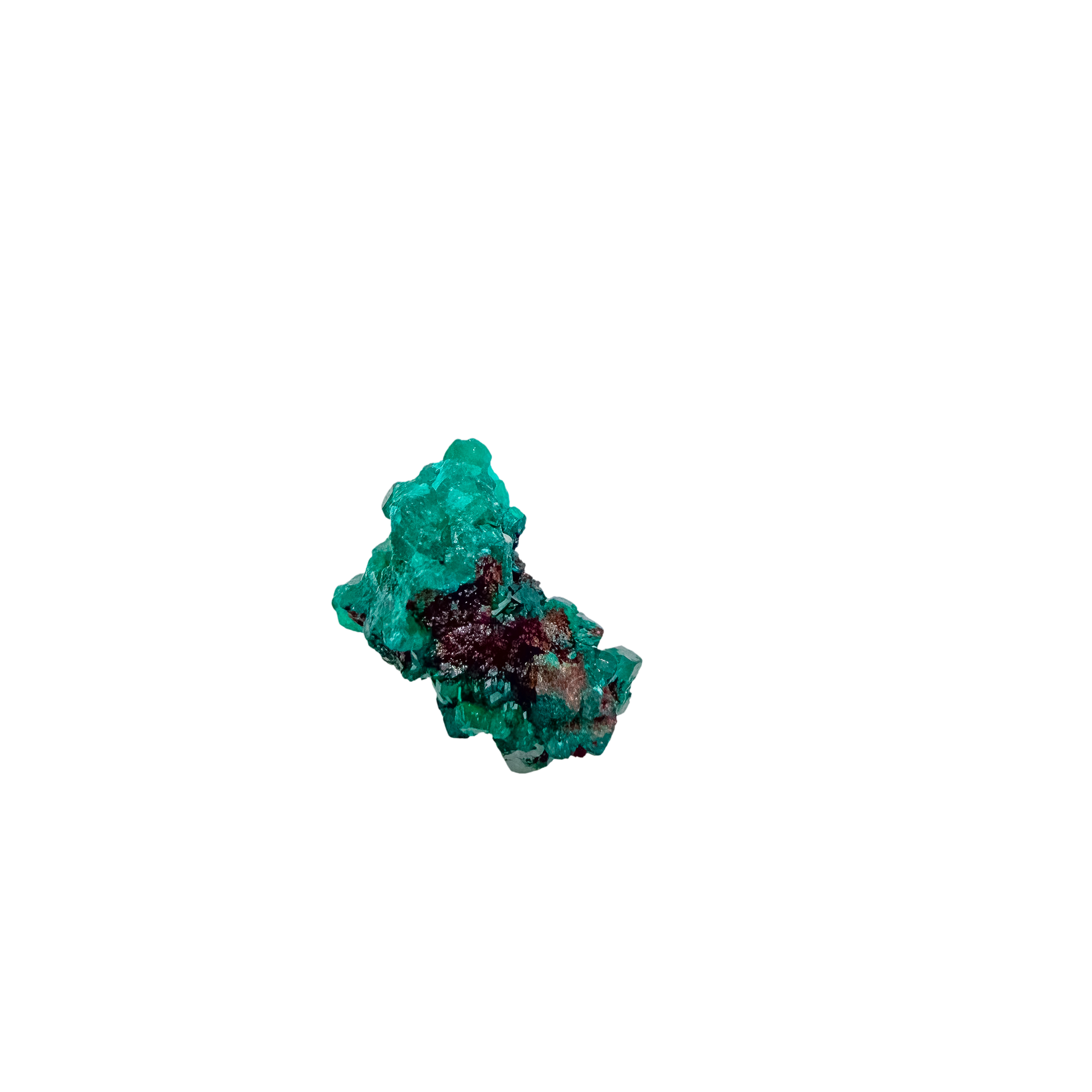 Fine dioptase druzy on the fine green crust, 0.79 inches of coverage
