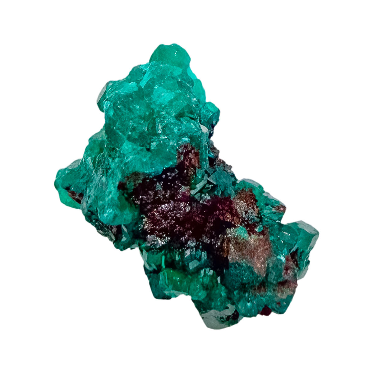 Fine dioptase druzy on the fine green crust, 0.79 inches of coverage