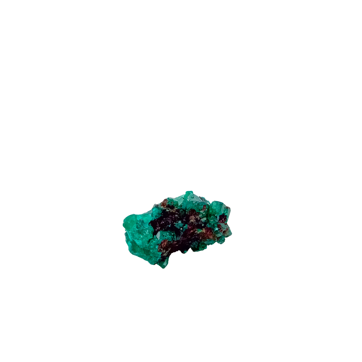 Silhouette of the fine green crust at 0.79 inches wide