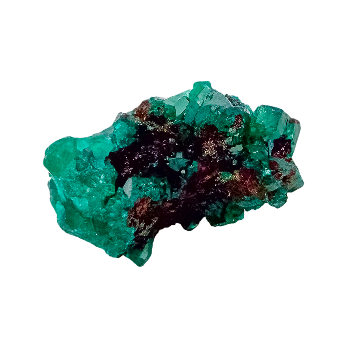 Silhouette of the fine green crust at 0.79 inches wide