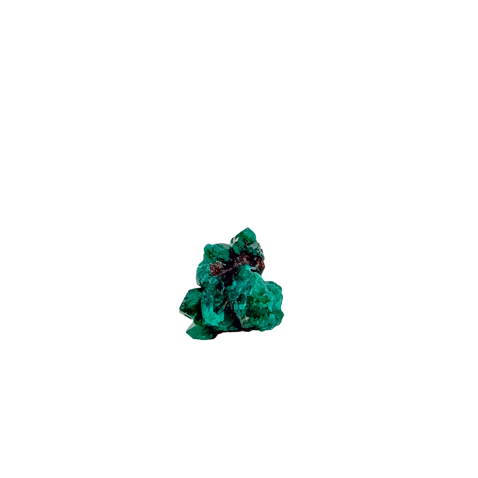 Dioptase specimen of 9.8 g from Renéville, its fine green crust shown on white