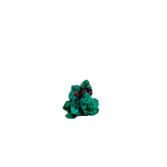 Dioptase specimen of 9.8 g from Renéville, its fine green crust shown on white