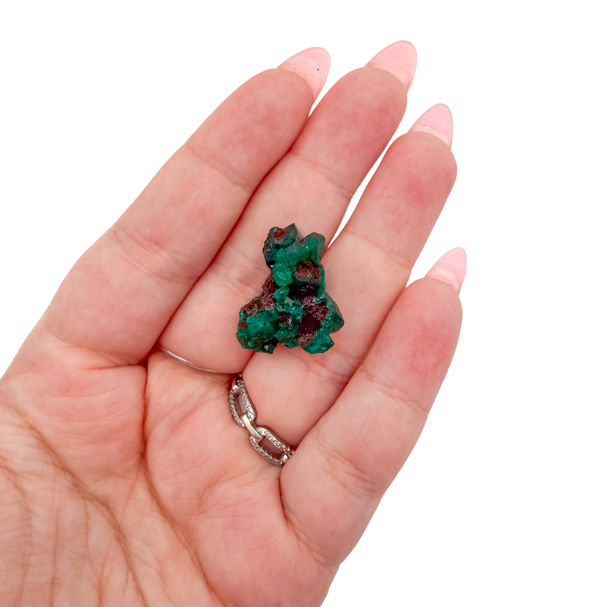 Scale shot of the fine green crust, 9.8 g of Congolese dioptase cupped in a hand
