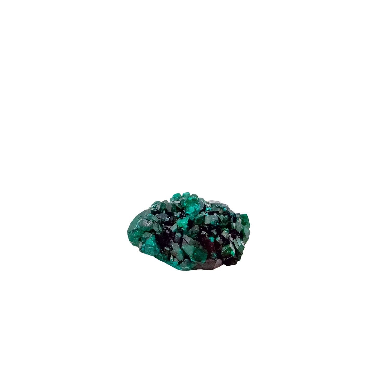 Back face of the wide flat plate, mostly unmineralized matrix, 1.47 inches