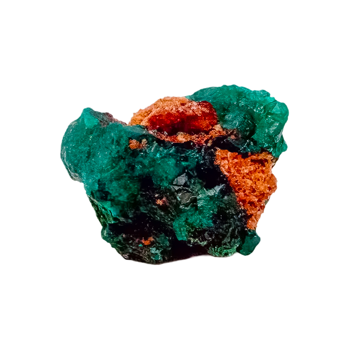 Three-quarter view of the cabinet-grade piece, 1.57 inches long