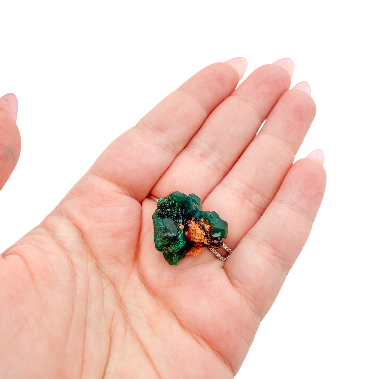 Hand holding the cabinet-grade piece to show how small a 1.57 inch collector dioptase is
