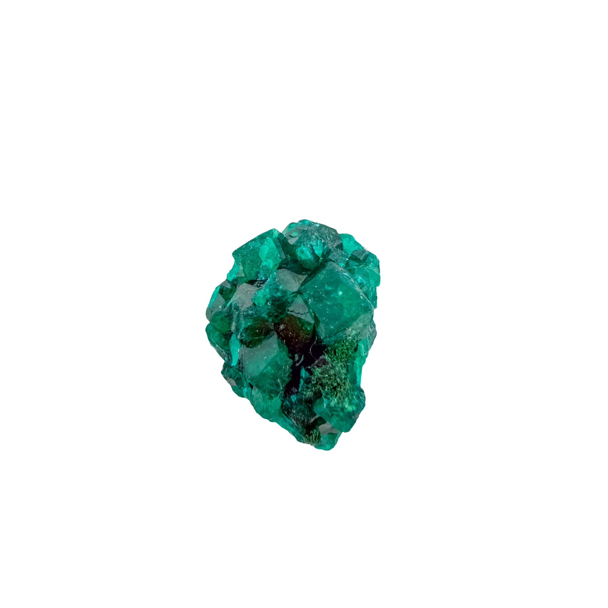 Emerald-green dioptase crystals crusting a 1.12 inch matrix, the chunky green matrix from Renéville Congo