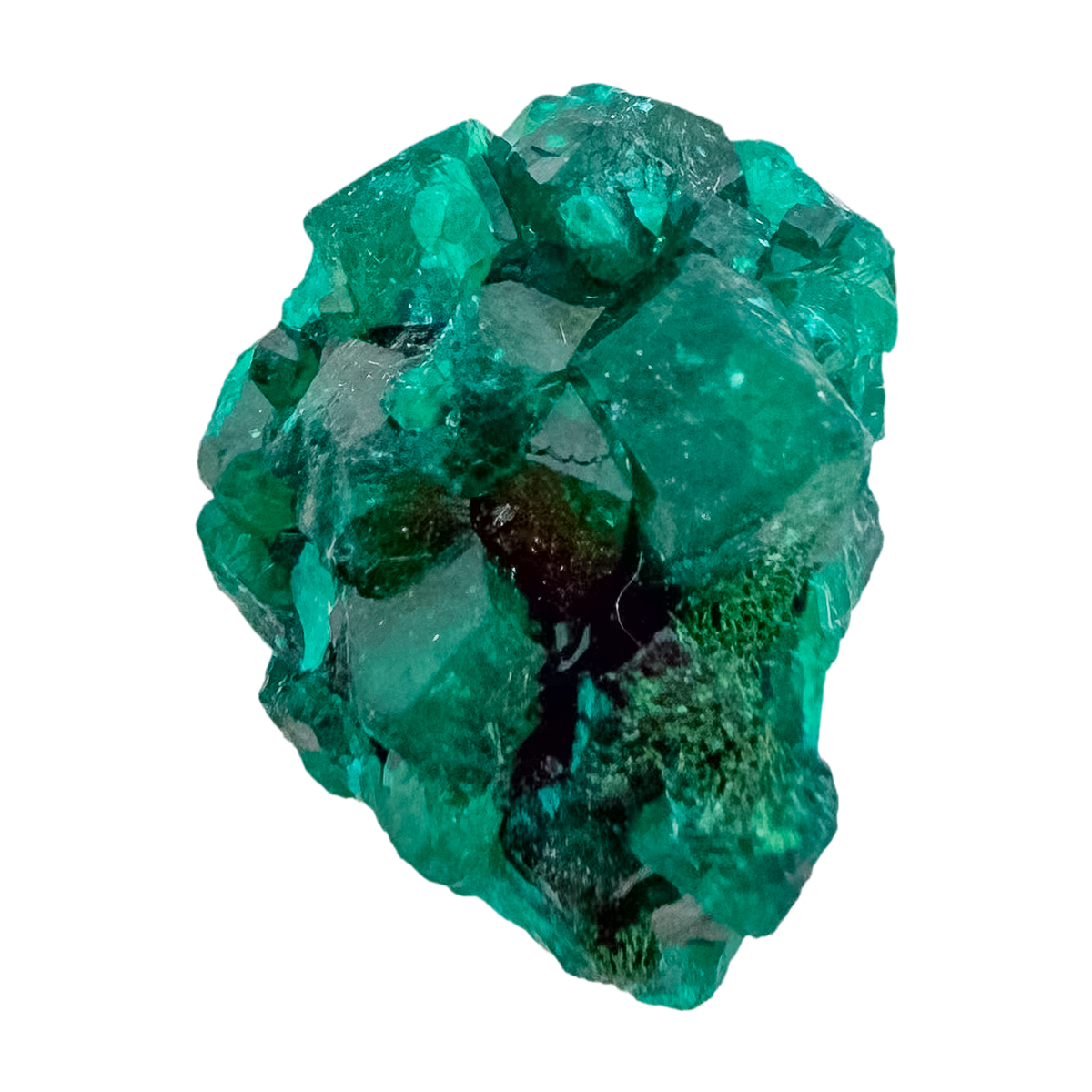 Emerald-green dioptase crystals crusting a 1.12 inch matrix, the chunky green matrix from Renéville Congo