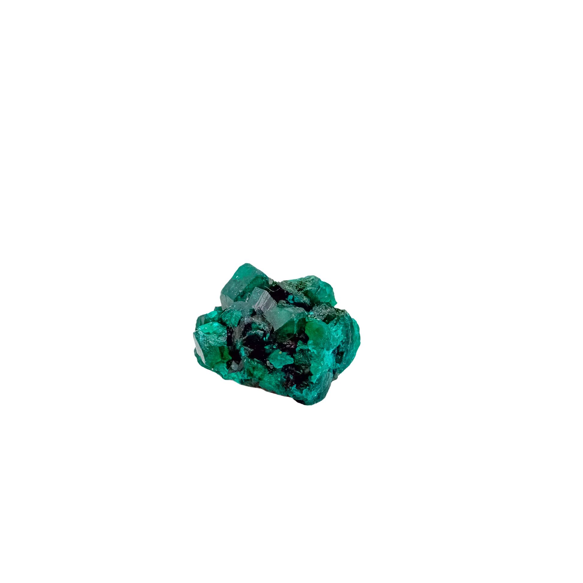 Close detail of glassy prisms on the chunky green matrix, Mohs 5 and 18.3 g