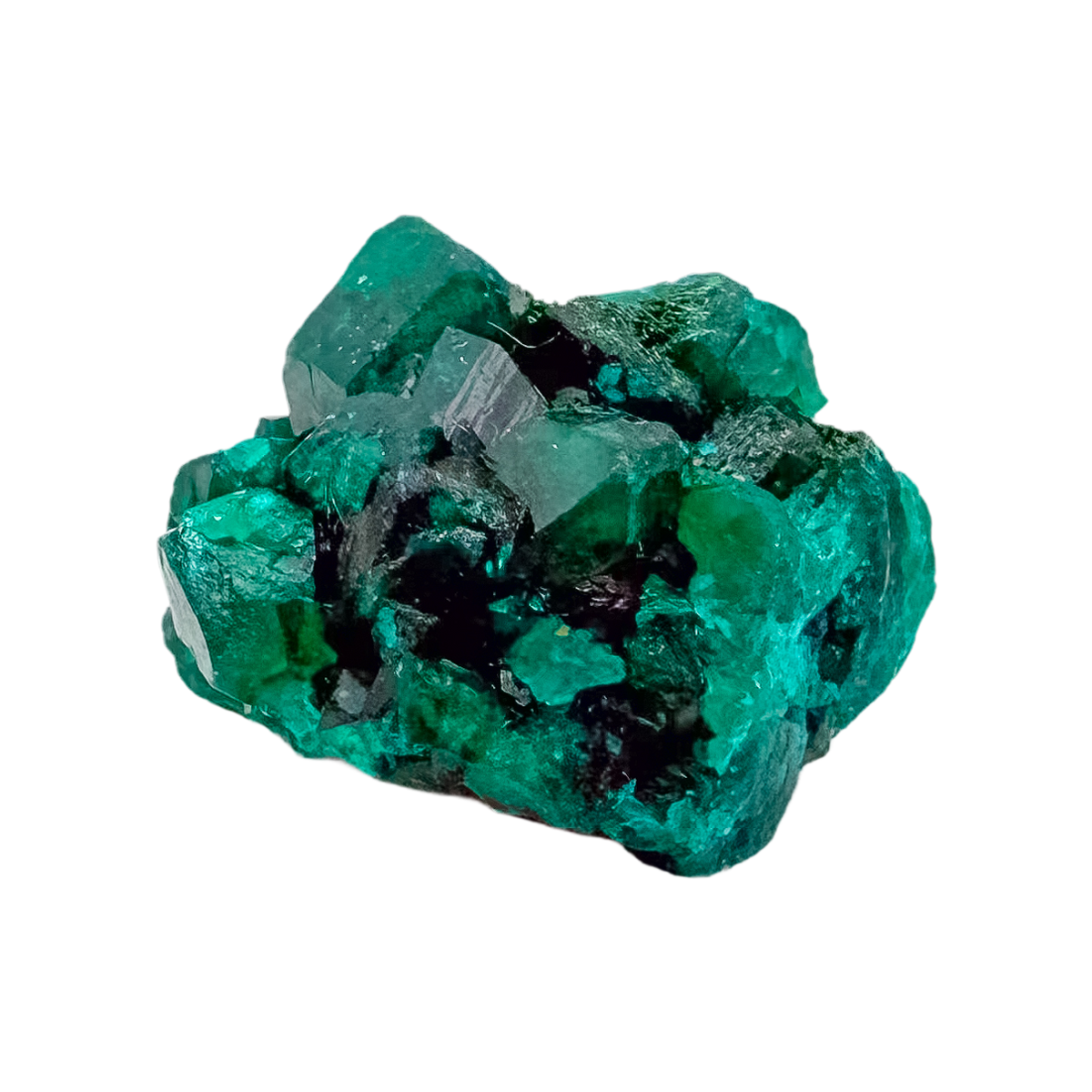 Close detail of glassy prisms on the chunky green matrix, Mohs 5 and 18.3 g