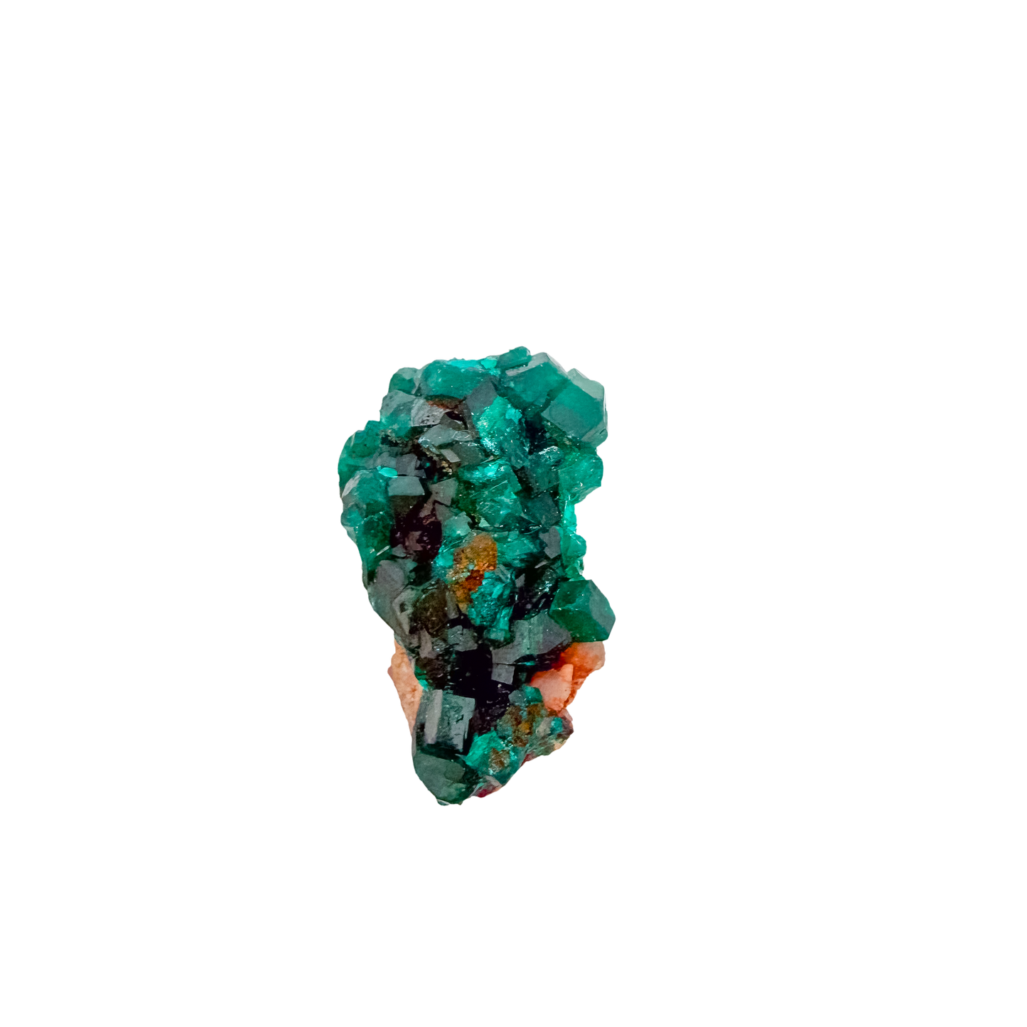 Emerald-green dioptase crystals crusting a 1.13 inch matrix, the compact sparkle from Renéville Congo