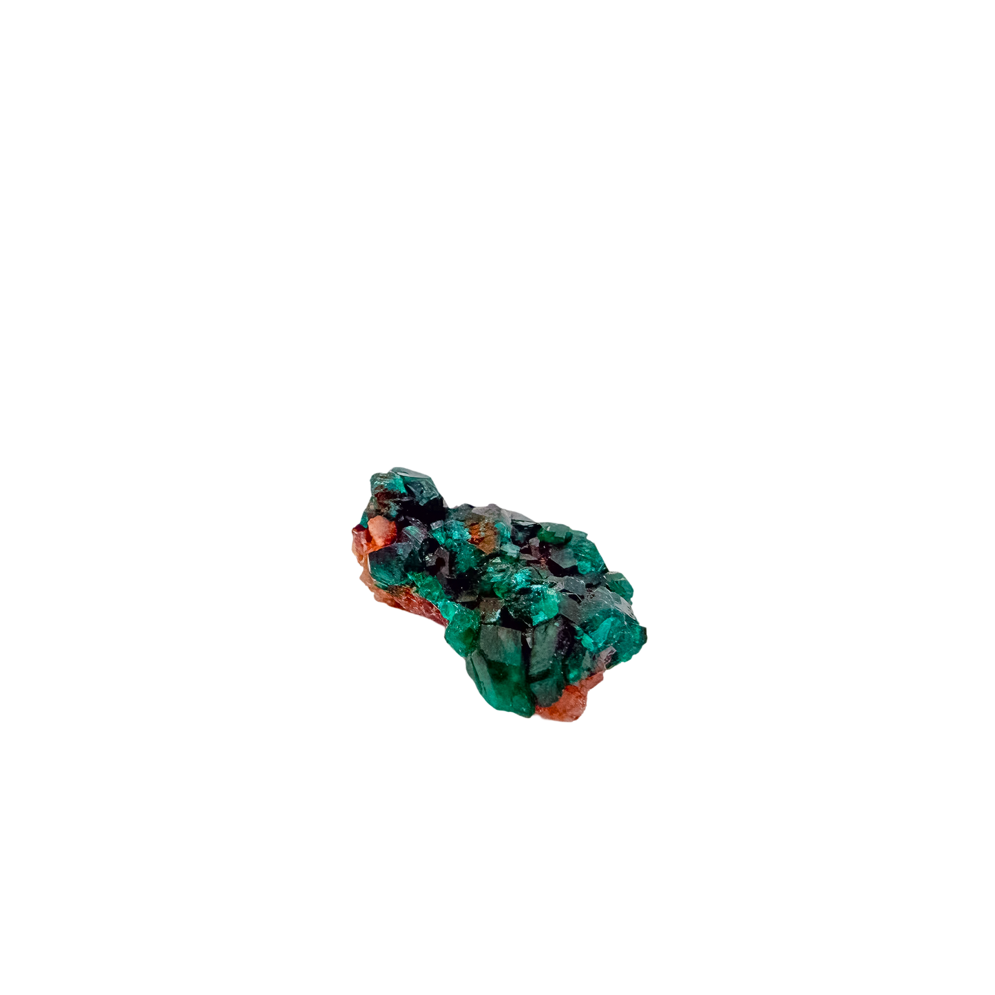 Second face of the compact sparkle, 9.2 g of dioptase wrapping the matrix