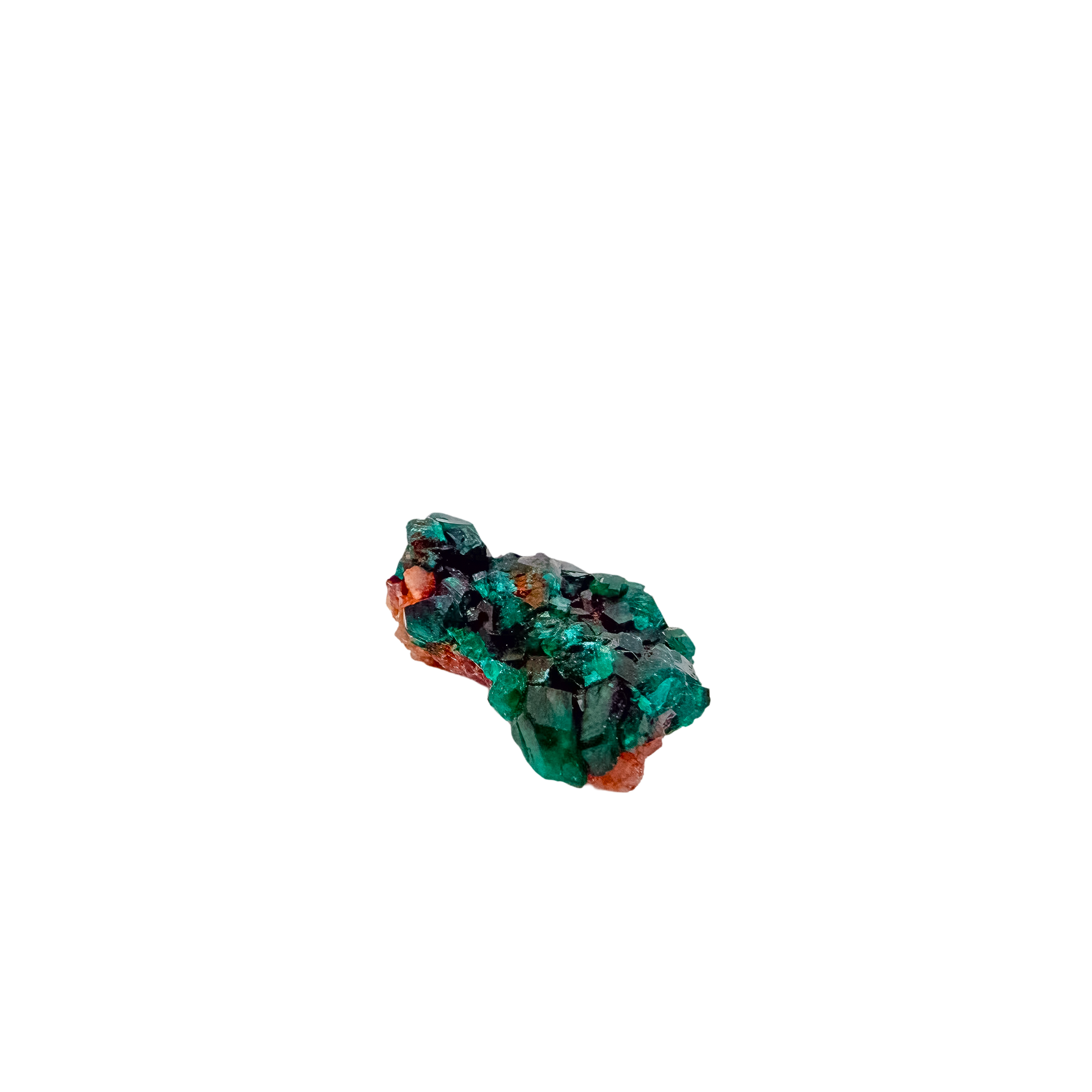 Second face of the compact sparkle, 9.2 g of dioptase wrapping the matrix