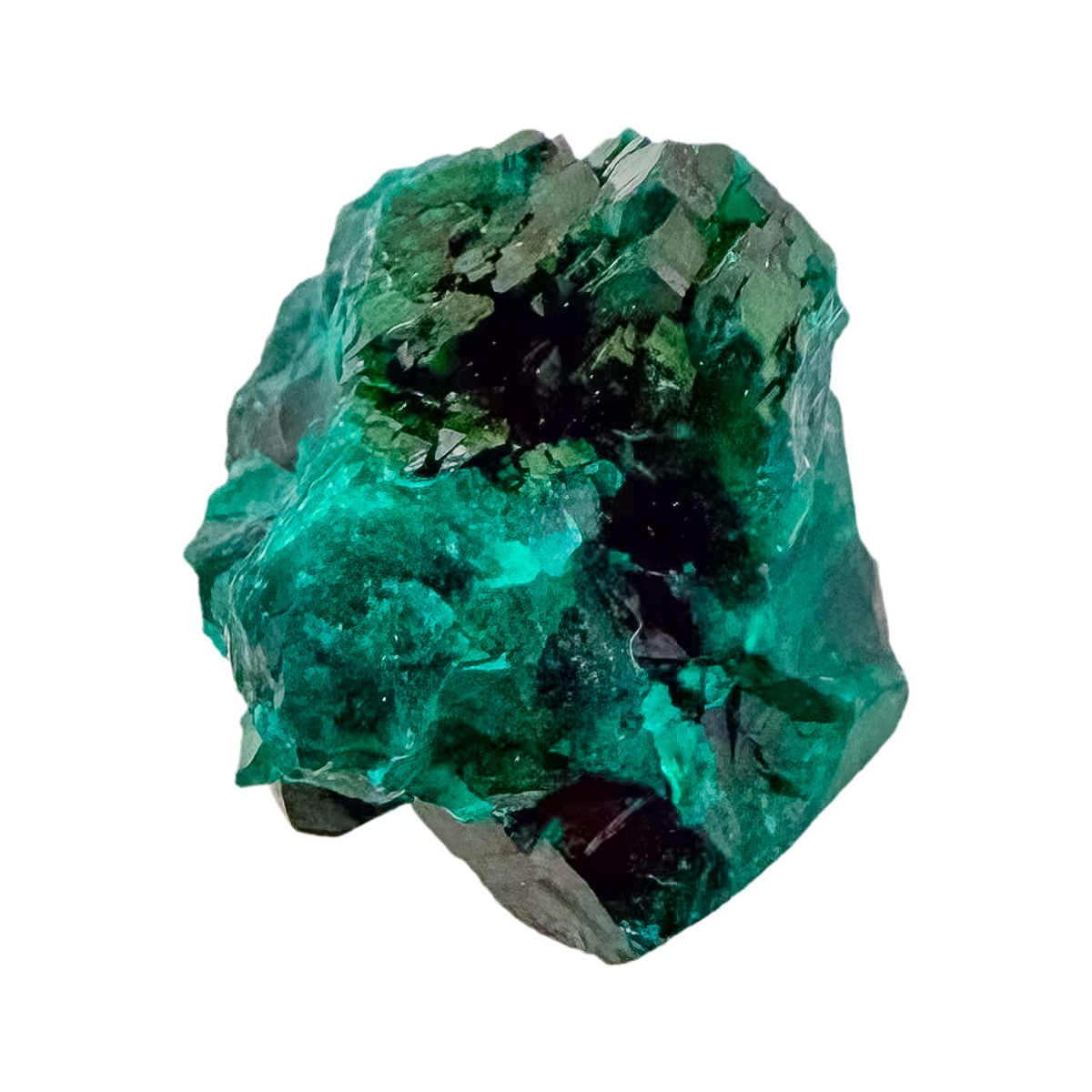 Dioptase specimen of 8.1 g from Renéville, its glassy green face shown on white