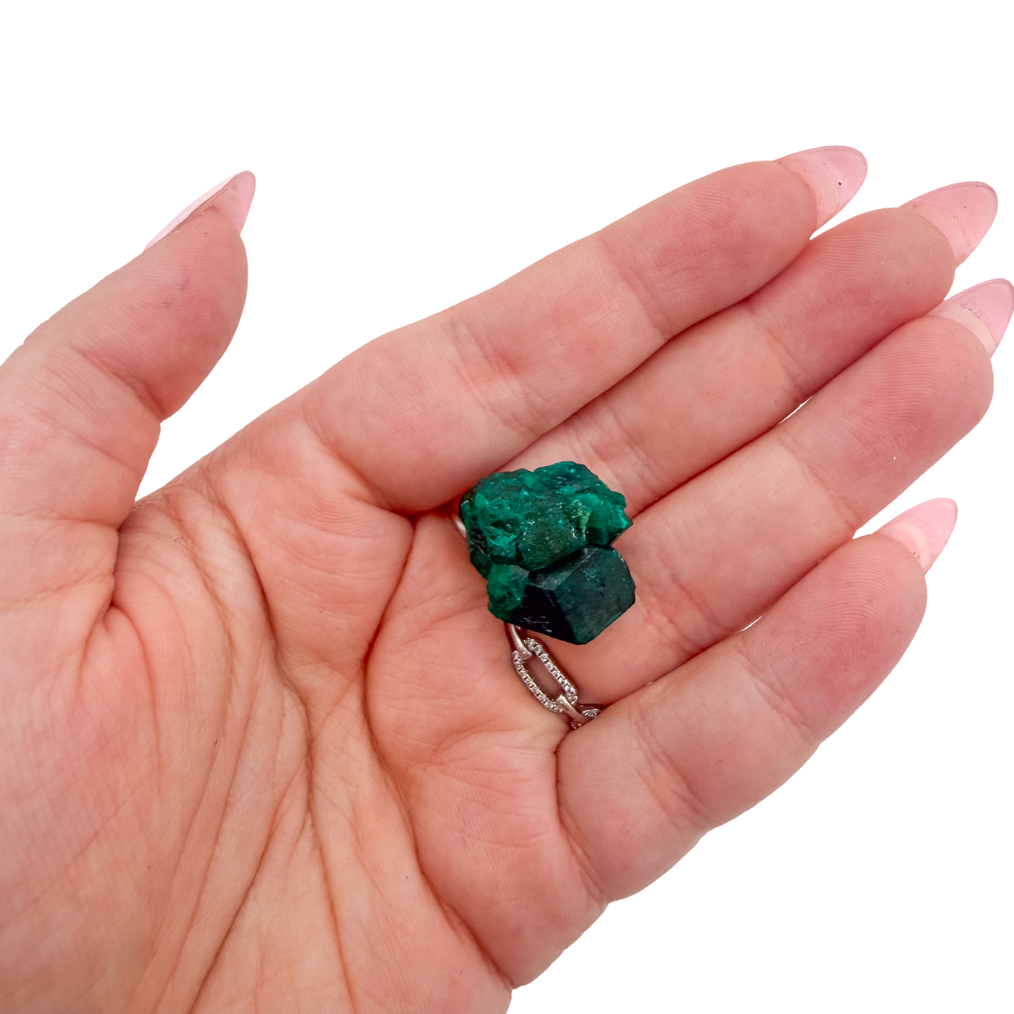 Scale shot of the glassy green face, 8.1 g of Congolese dioptase cupped in a hand