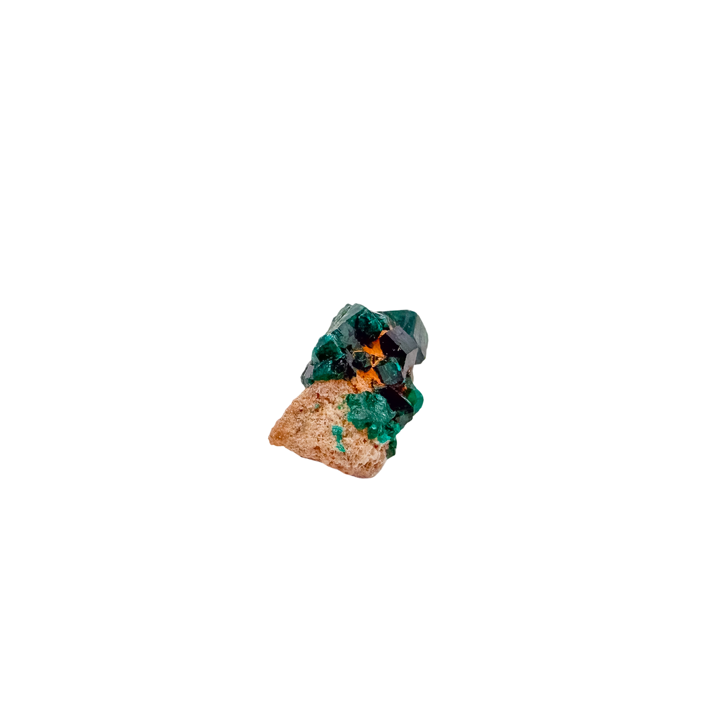 Profile of the narrow ridge, 0.66 inches thick on its base