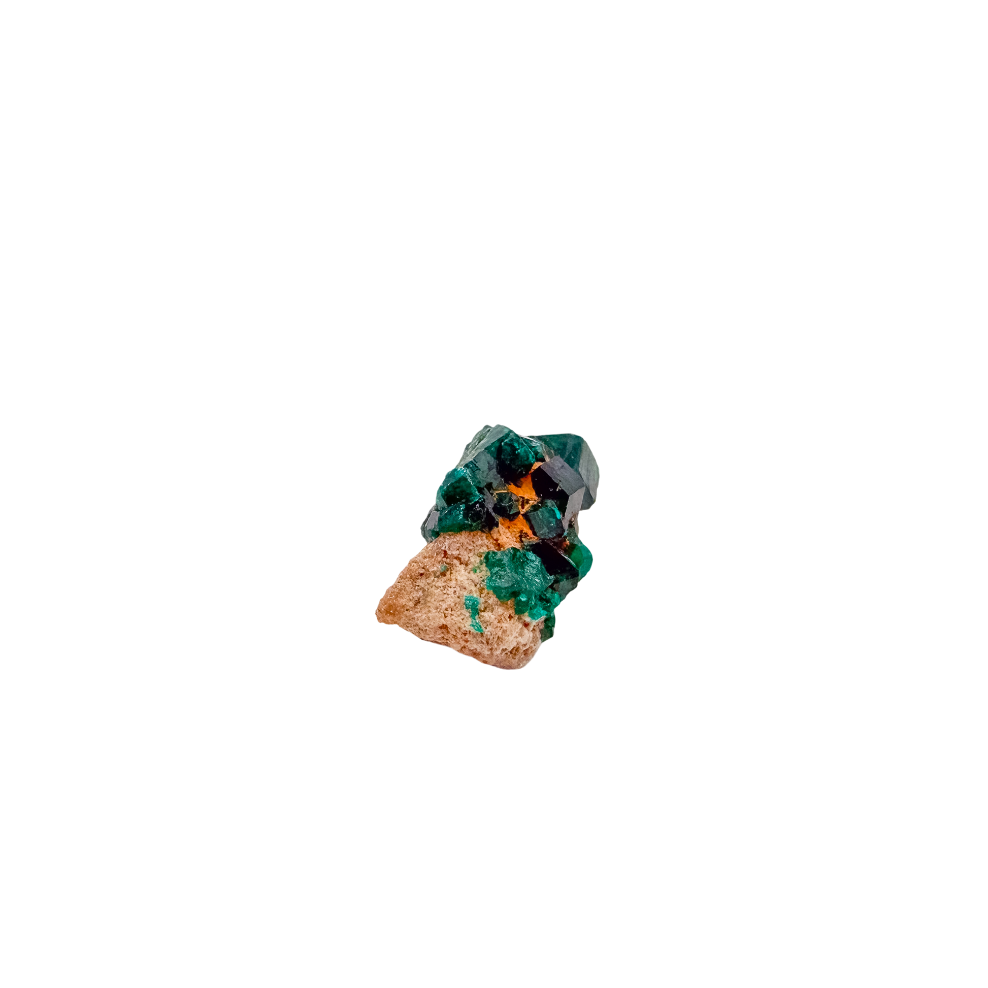 Profile of the narrow ridge, 0.66 inches thick on its base