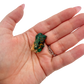 The narrow ridge held in a hand, showing the true scale of this 1.08 inch dioptase