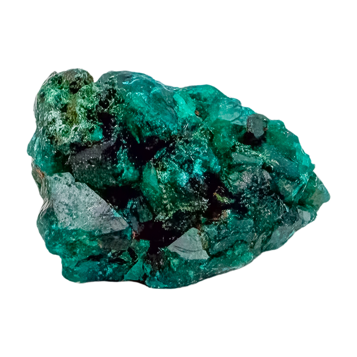 Fine dioptase druzy on the slim flat piece, 0.76 inches of coverage