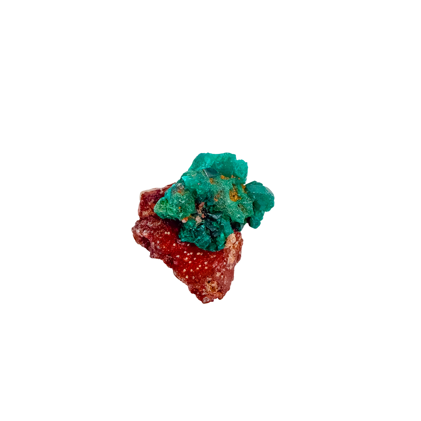 Second face of the broad thin plate, 7.1 g of dioptase wrapping the matrix
