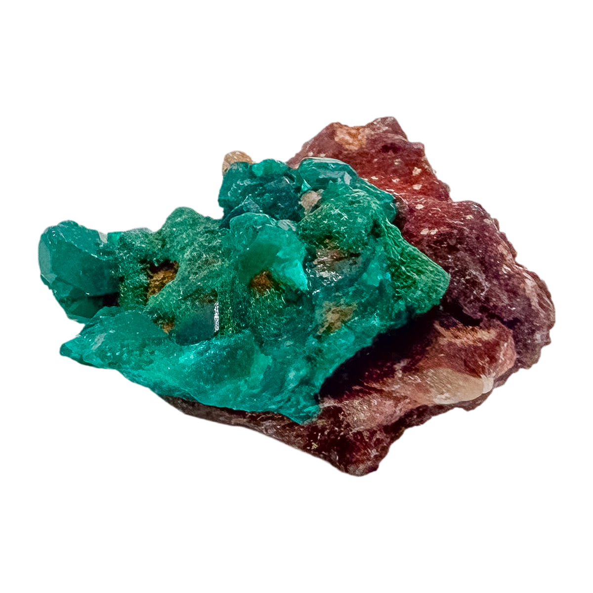 Emerald-green dioptase crystals crusting a 1.14 inch matrix, the broad thin plate from Renéville Congo