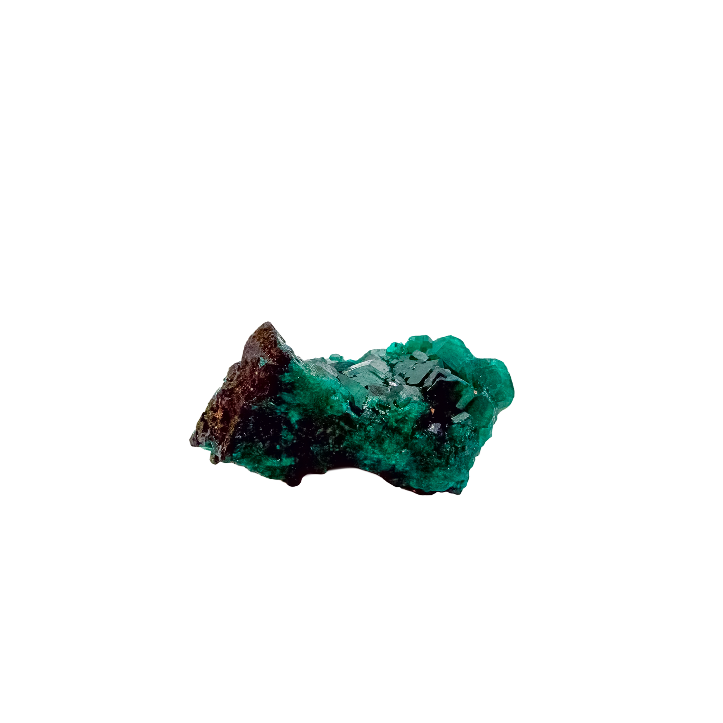 Collector dioptase thumbnail 0.78 by 0.73 inches, the small square matrix, Republic of the Congo