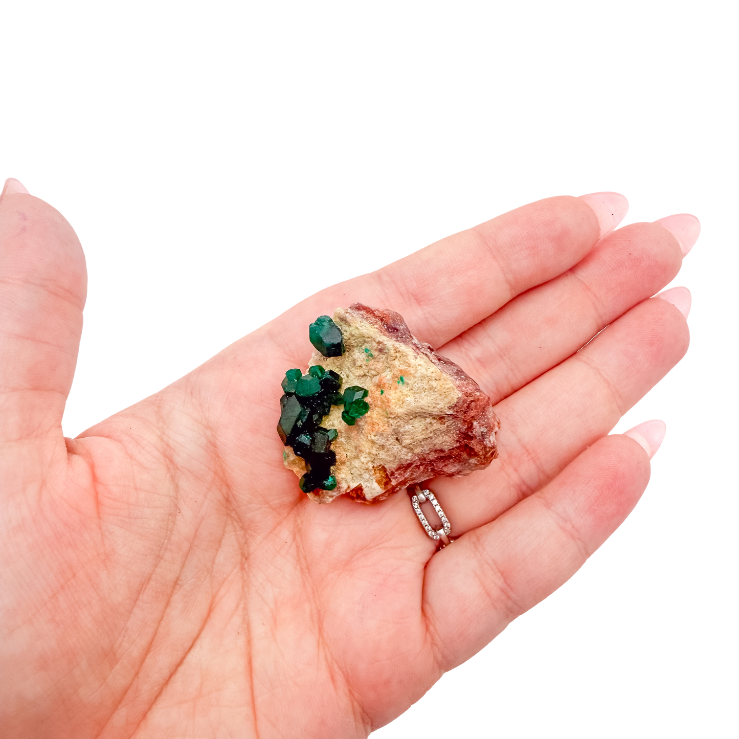 Scale shot of the slender thumbnail, 6.1 g of Congolese dioptase cupped in a hand