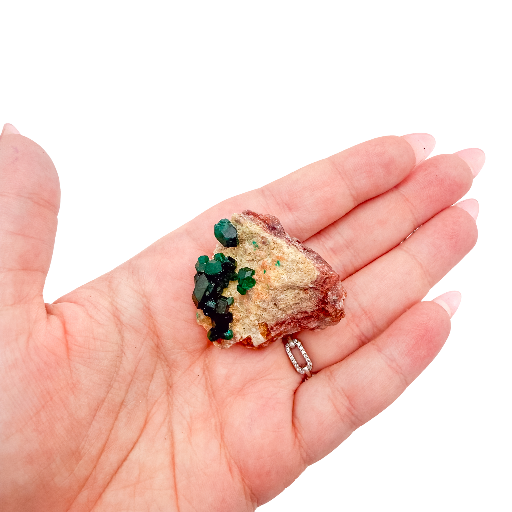 Scale shot of the slender thumbnail, 6.1 g of Congolese dioptase cupped in a hand