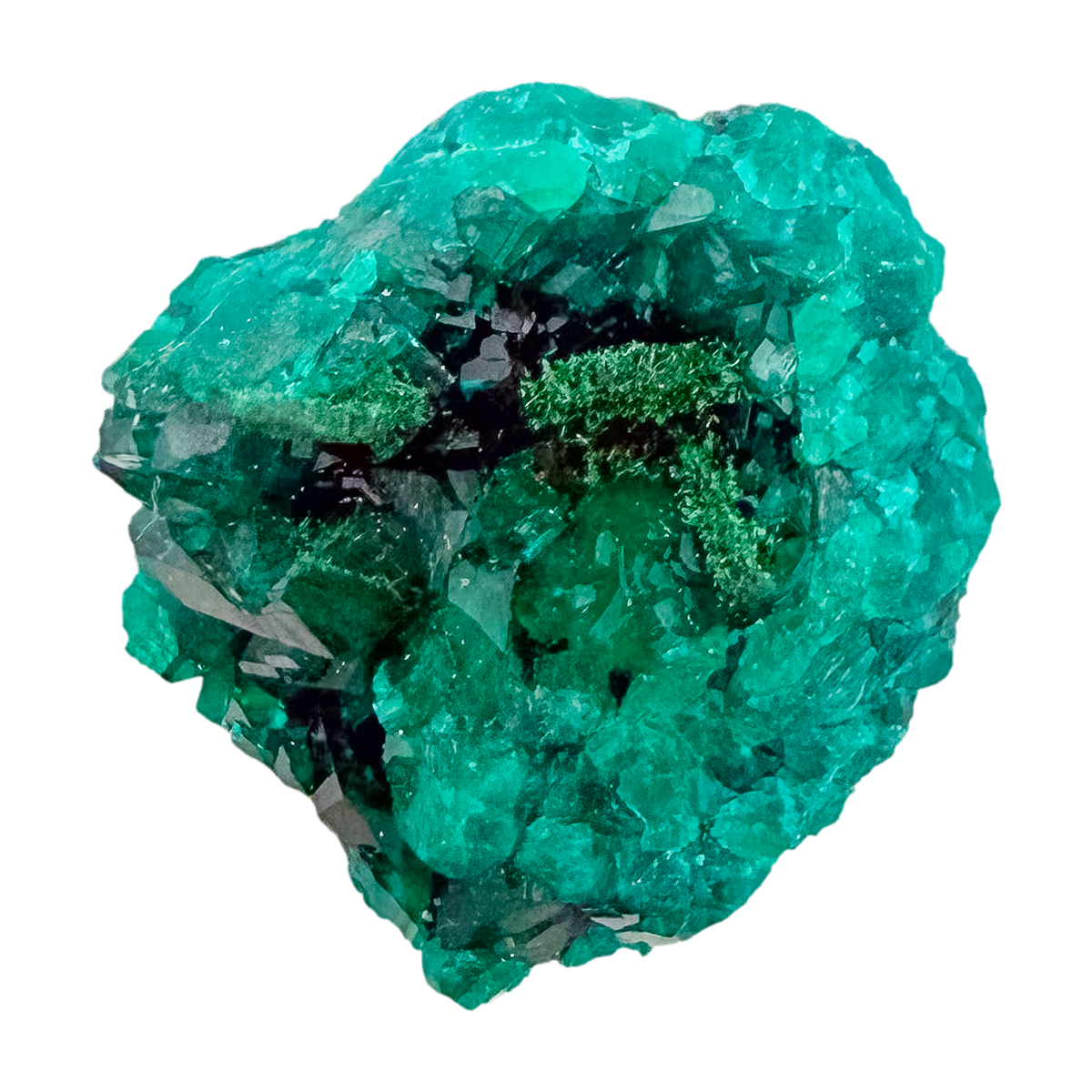 Emerald-green dioptase crystals crusting a 0.81 inch matrix, the dense little block from Renéville Congo