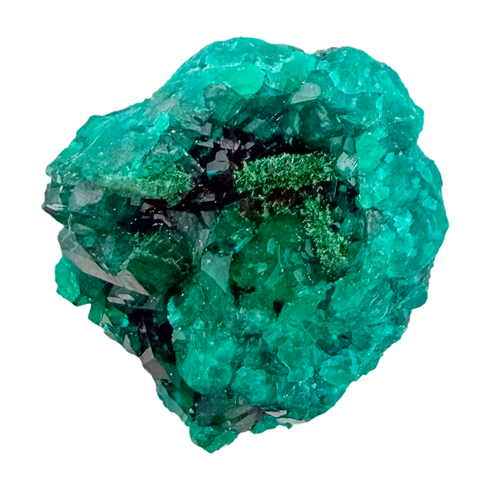 Emerald-green dioptase crystals crusting a 0.81 inch matrix, the dense little block from Renéville Congo