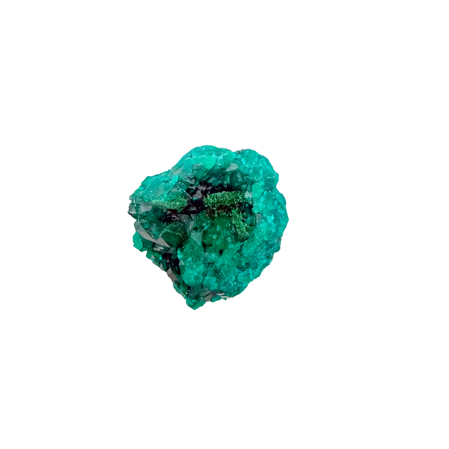 Emerald-green dioptase crystals crusting a 0.81 inch matrix, the dense little block from Renéville Congo