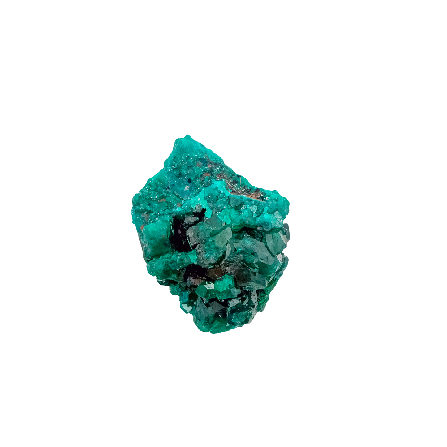 Collector dioptase thumbnail 0.81 by 0.85 inches, the round thumbnail, Republic of the Congo