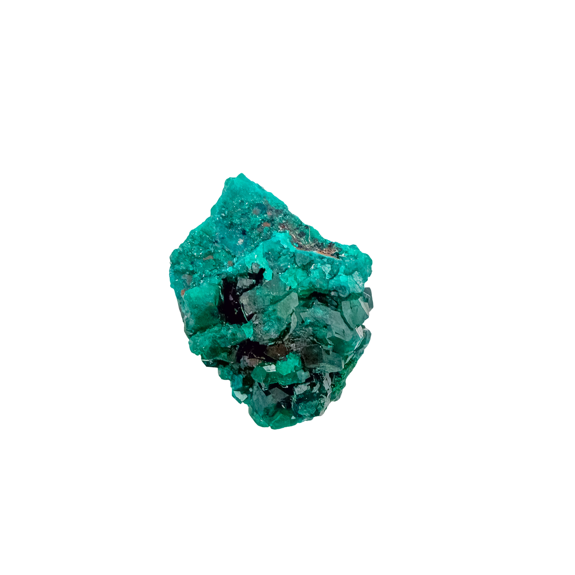 Collector dioptase thumbnail 0.81 by 0.85 inches, the round thumbnail, Republic of the Congo
