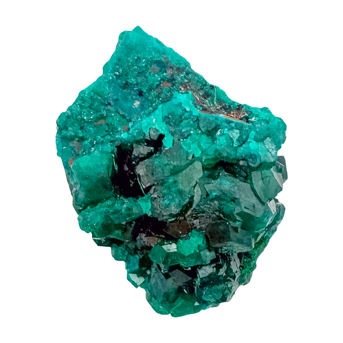Collector dioptase thumbnail 0.81 by 0.85 inches, the round thumbnail, Republic of the Congo